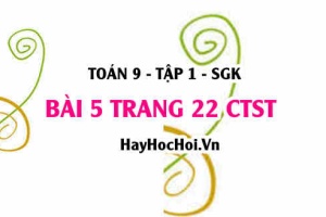 Bài 5 trang 22 Toán 9 tập 1 Chân trời sáng tạo SGK